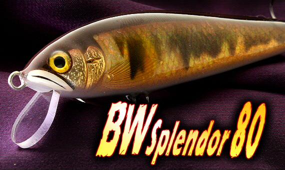 BRIGHT'N LURES BW Splendor 80mr[_uXv_[80n