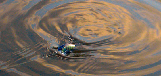 BRIGHT'N LURES CROSS RAMBLERmNXu[n