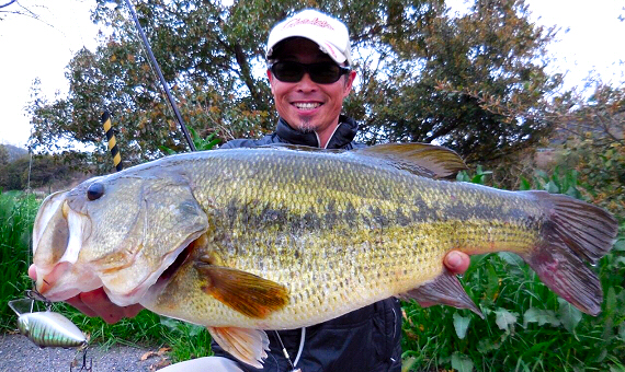 BRIGHT'N LURES Fireball 80mt@C[{[80n