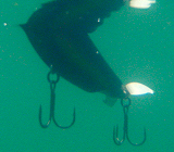 BRIGHT'N LURES MadGambler
