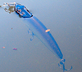 BRIGHT'N LURES NakedSpenser[lCLbhXyT[]