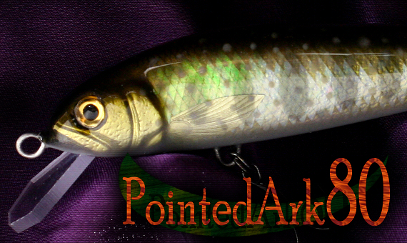 BRIGHT'N LURES PointedArk 80m|CebhA[N80n