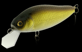 BRIGHT'N LURES SilverChip Gamma 70mVo[`bvK}70n